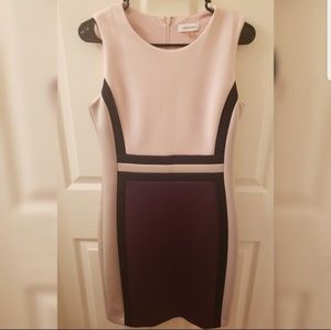 Calvin Klein Sleeveless Color Block Sheath Dress